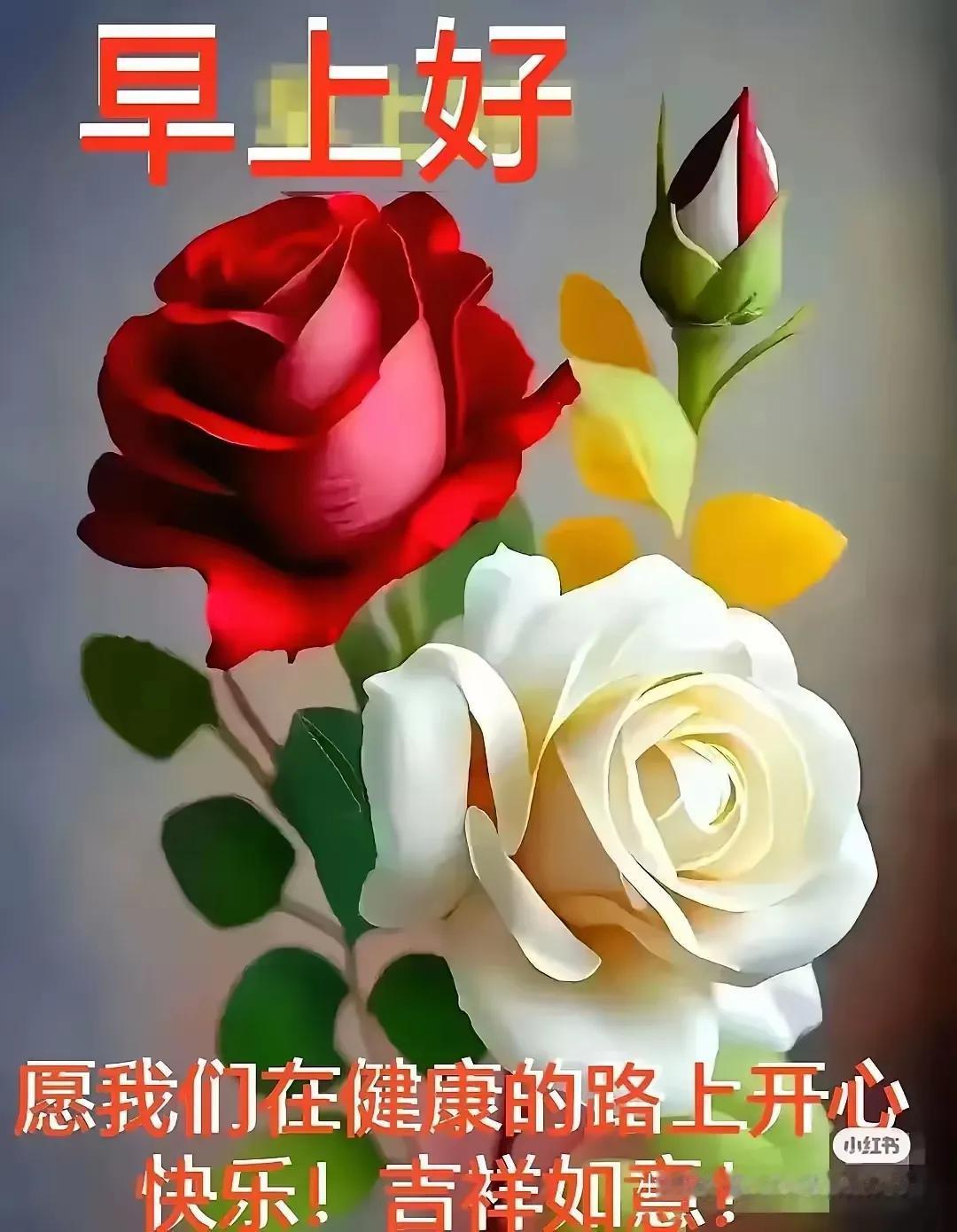 愿我们在健康之路上开心快乐！🌹💐🌺