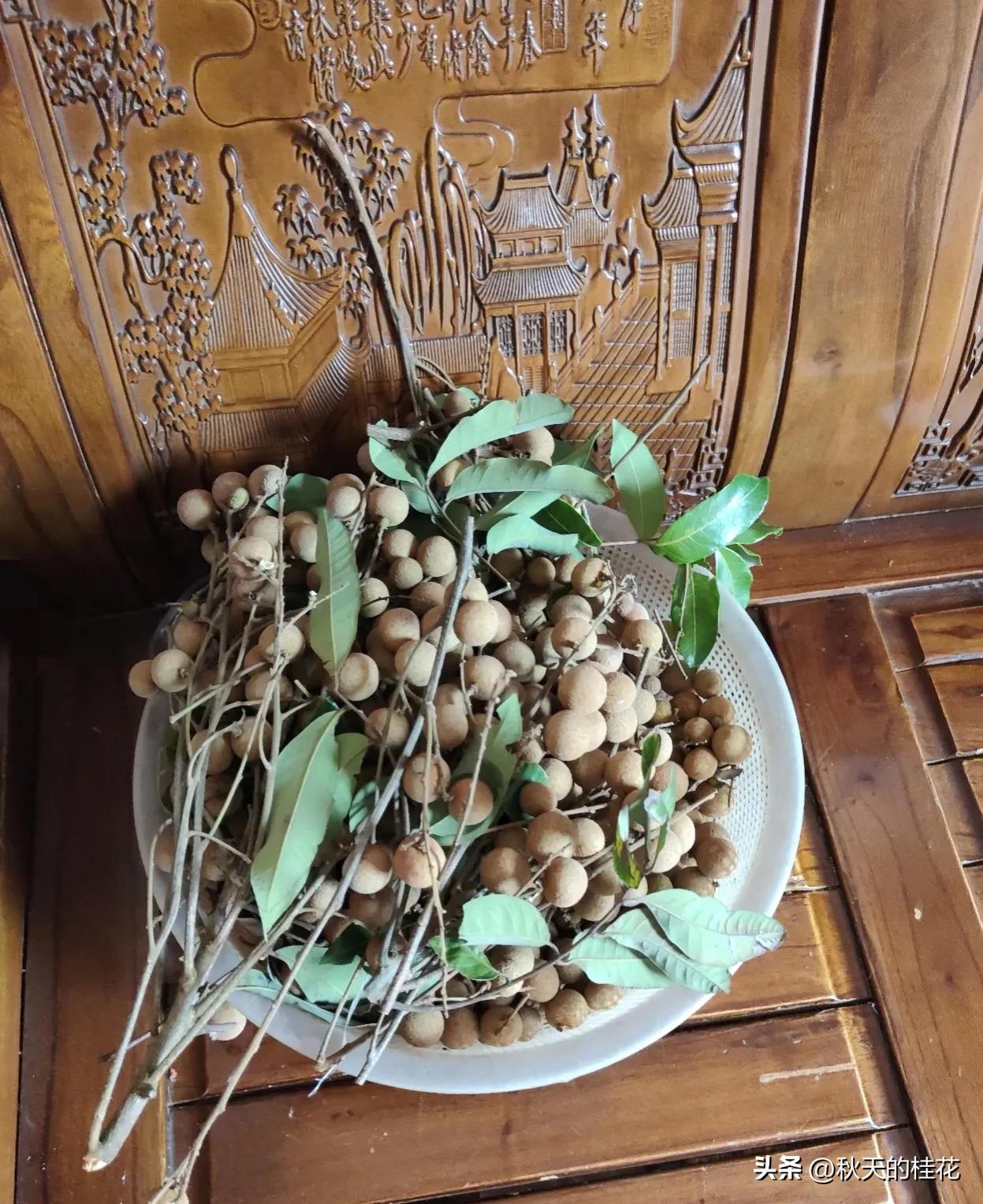 早上10点，突然接到大姑姐打来电话。她问我，你在家还是在街上？她突然这样问，我有