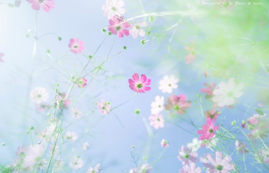 【 今日 ·  立春   】--- “ 立春，农历二十四节气中的第一个节气。立春