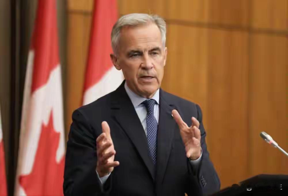 西方政要扎堆访华藏着深层算计，不是真心靠拢更非臣服，而是被逼到墙角的无奈抉择，背