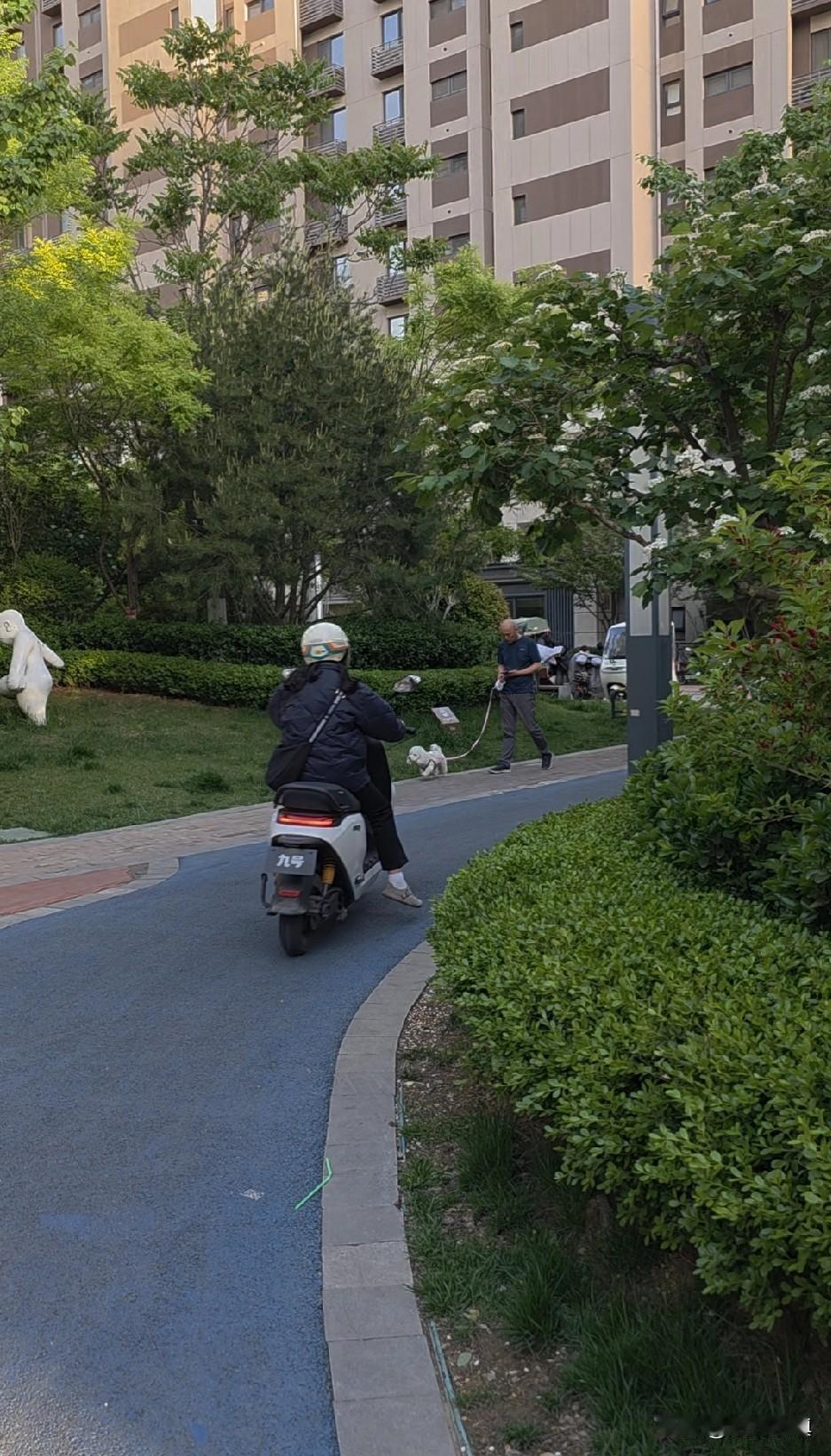 今天下午遇到两个特别讨厌的小女孩，这雨家长的教育不无关系……

下午在楼下遛狗，