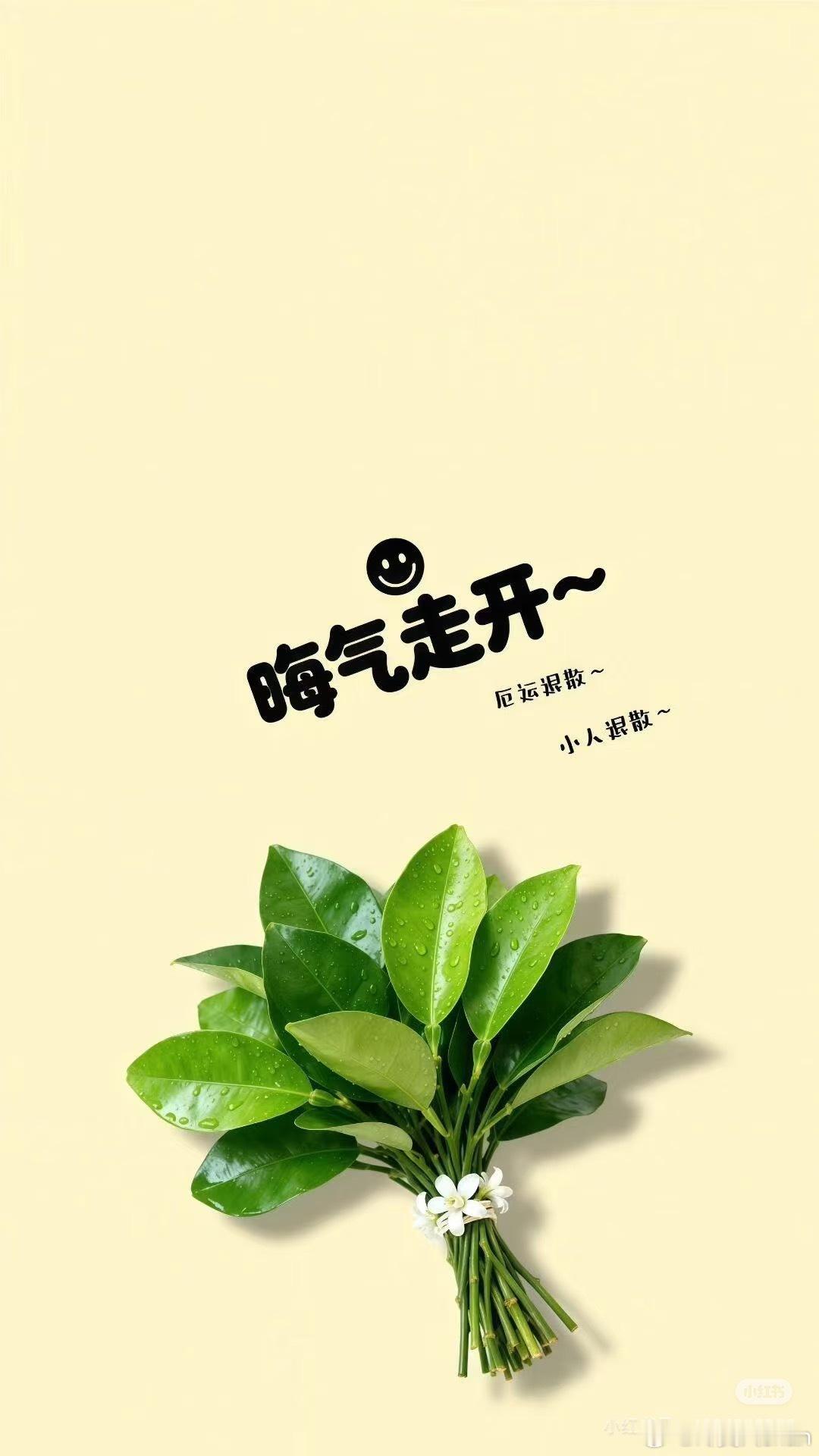 真是晦气！粘上那么恶心的人！快散去！ 