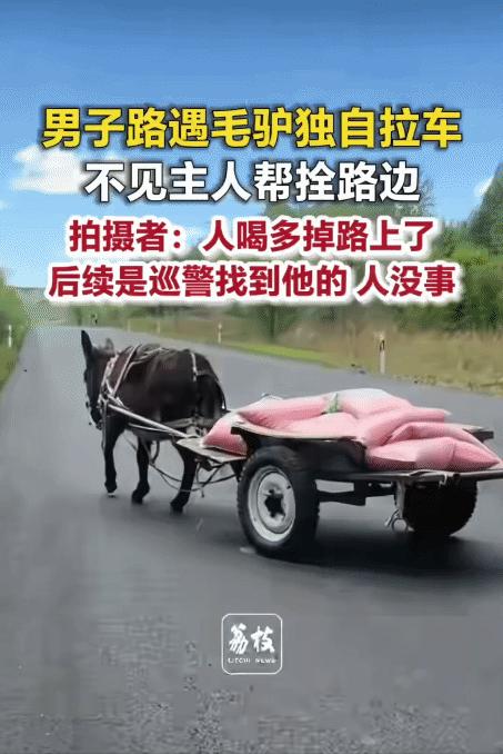 “笑不活了！”内蒙古国道上，一头毛驴无人看管，拉着车子在路上行走，车上放着酒和火