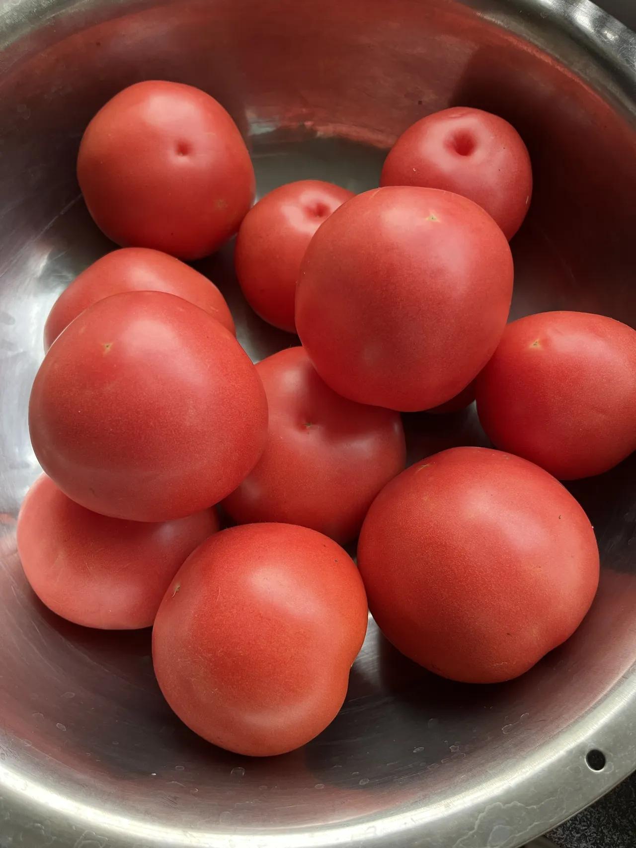 西红柿在你们那里的方言叫什么
我那边的方言叫番茄
你种了番茄🍅吗
喜欢吃番茄?