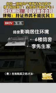 “太缺德了！”北京一男子花235万元买套房子，结果楼上邻居养了200多只鸽子，他