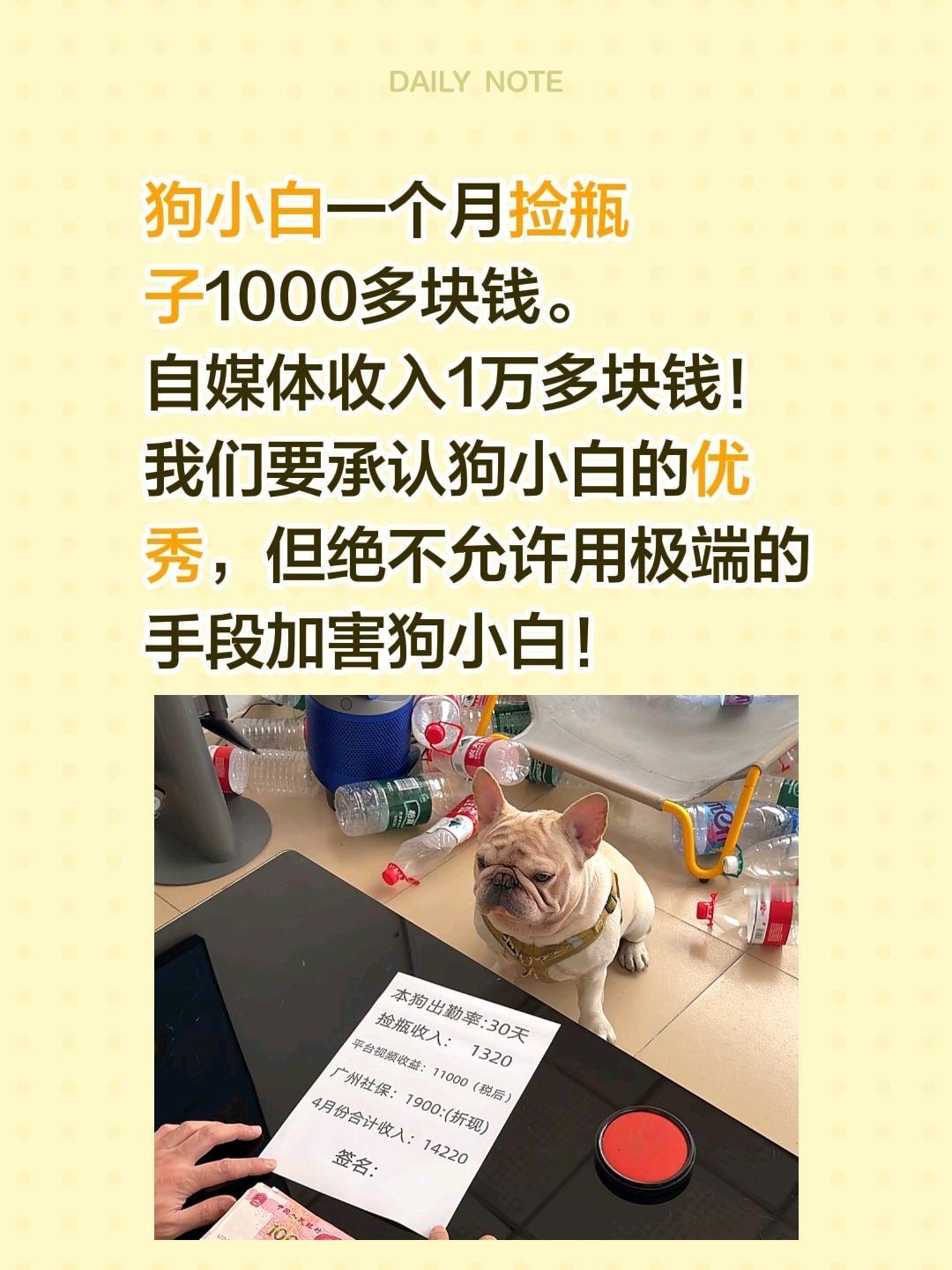 捡瓶狗小白确实优秀，赚的比我多！狗小白一个月捡瓶子1000多块钱。
自媒体收入1