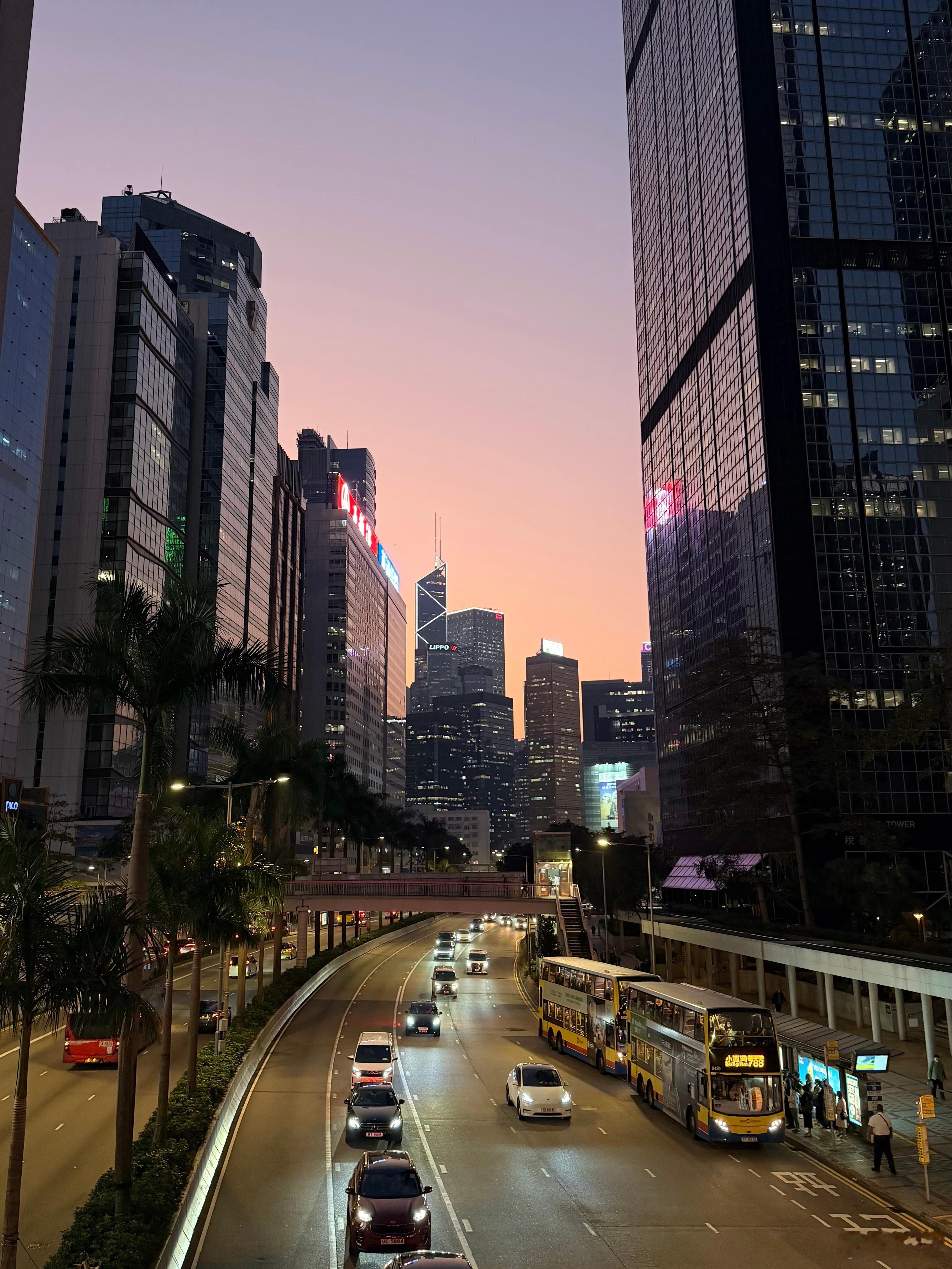 我见过太多中老年追爱，被子女一句“这么大年纪还折腾什么”直接按死可我说句实在话，