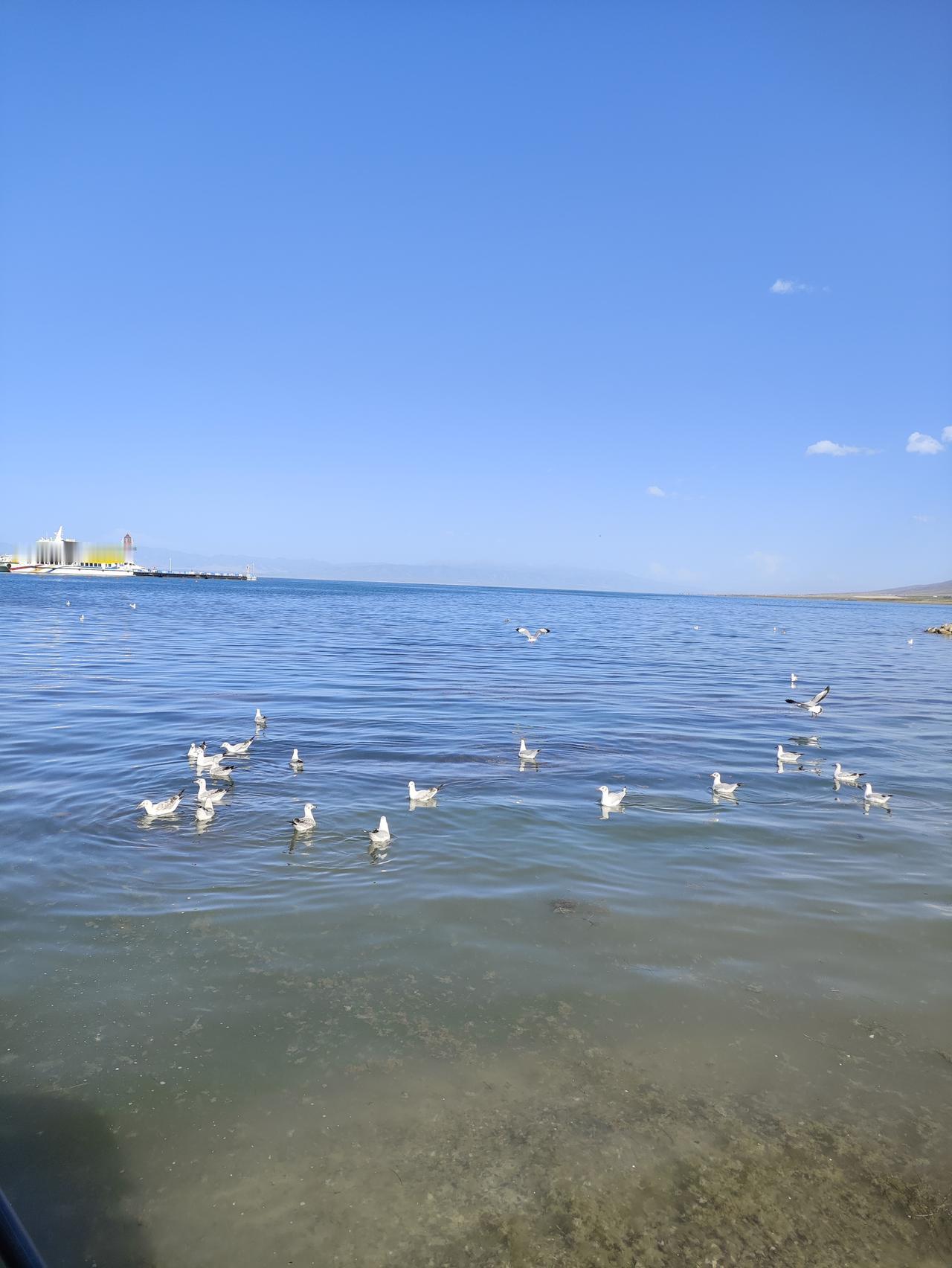 分享一张绝美的风景照片