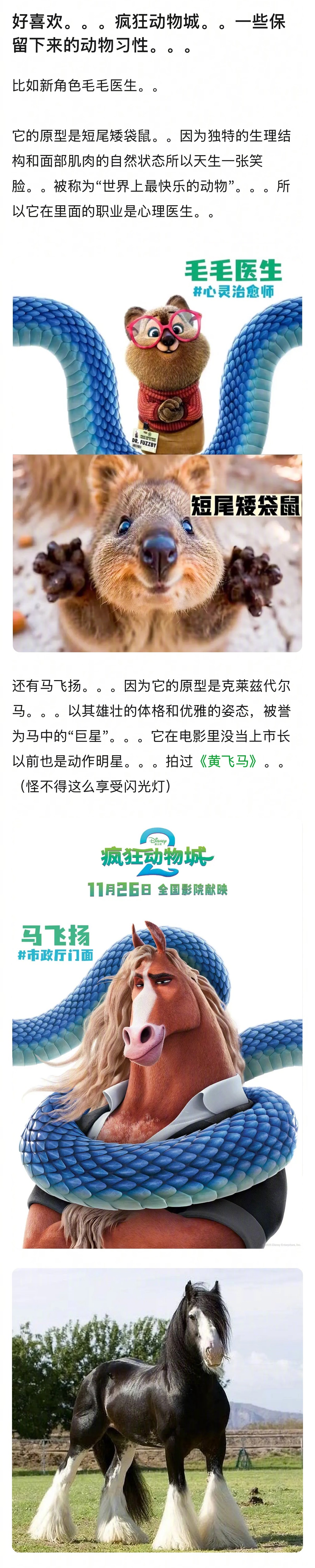 很喜欢疯狂动物城这部电影的原因：每个小动物的行为和活动都符合他们的生活习性，大家