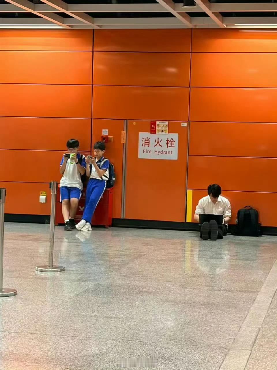 看图说话。 这张图你看到了神马。 