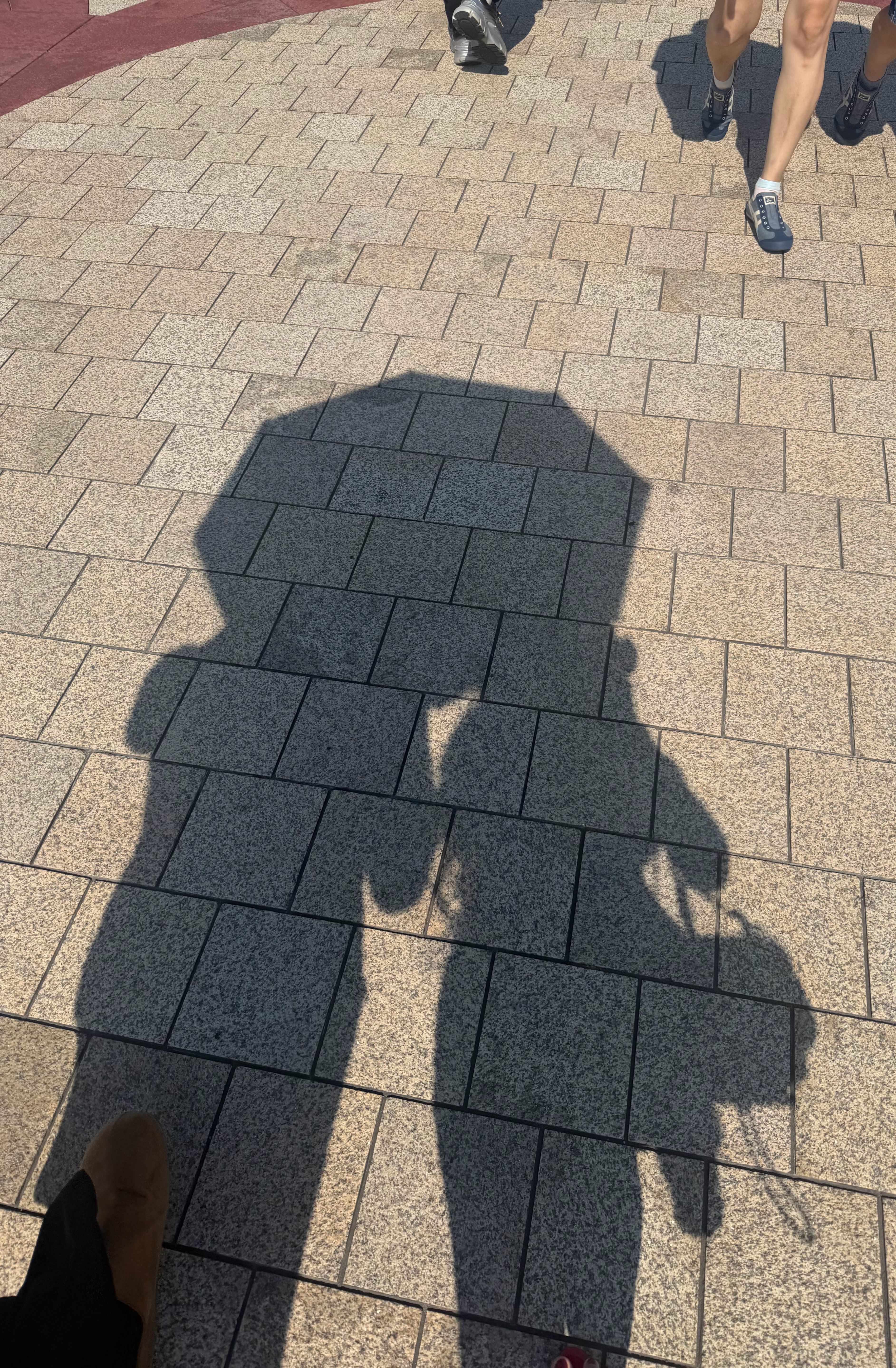 后悔穿黑色今天  ​​​