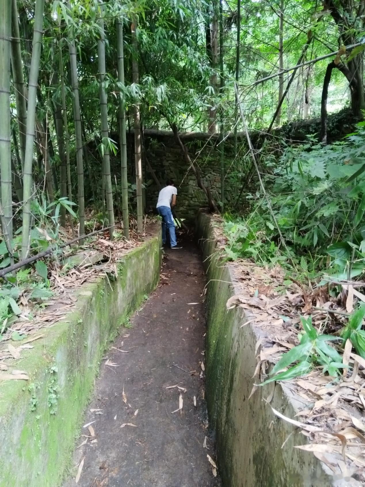 严阵以待防台风 筑牢古建安全屏障 武当山道教协会全面部署应对台风“巴威”近日，据