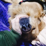 圆圆球爱逛科技