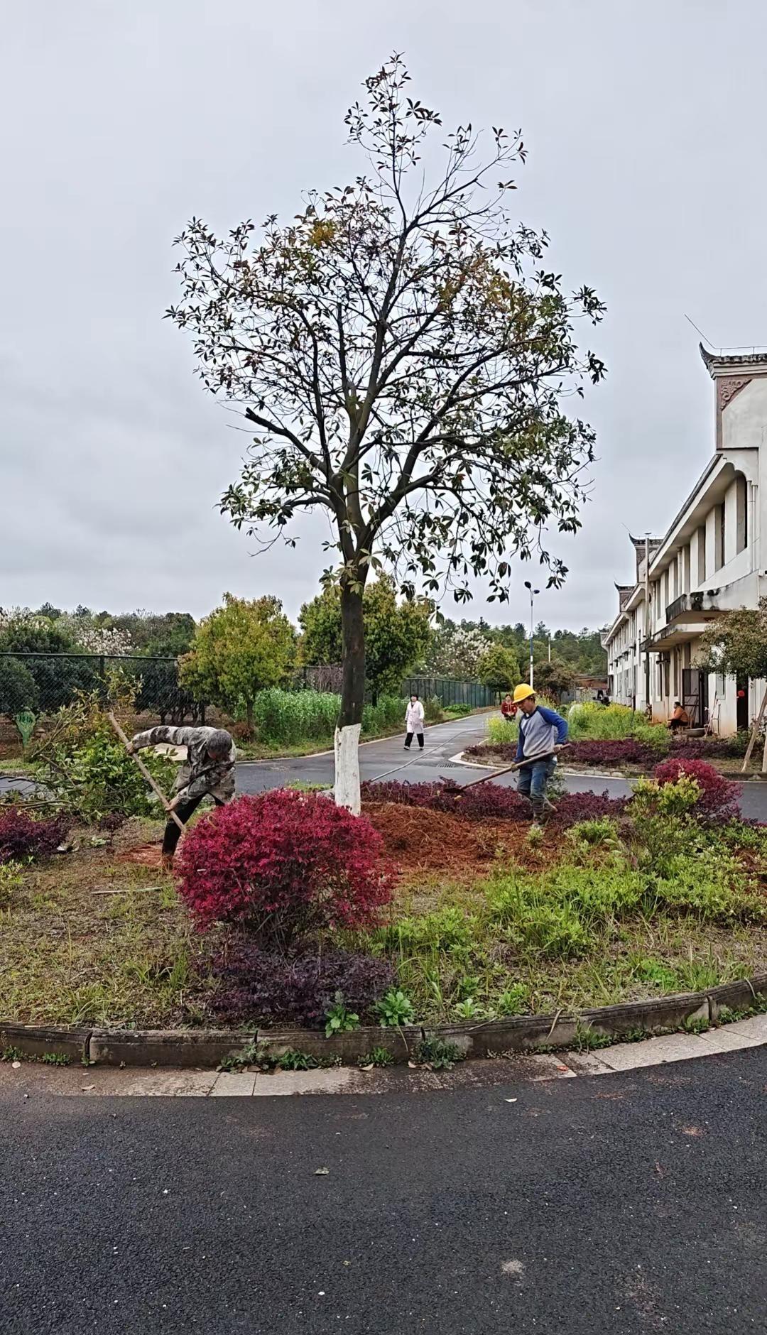 我要上热门一方山水，满目清宁，环境优美，生活舒心，择一处宜居，享一生安然。