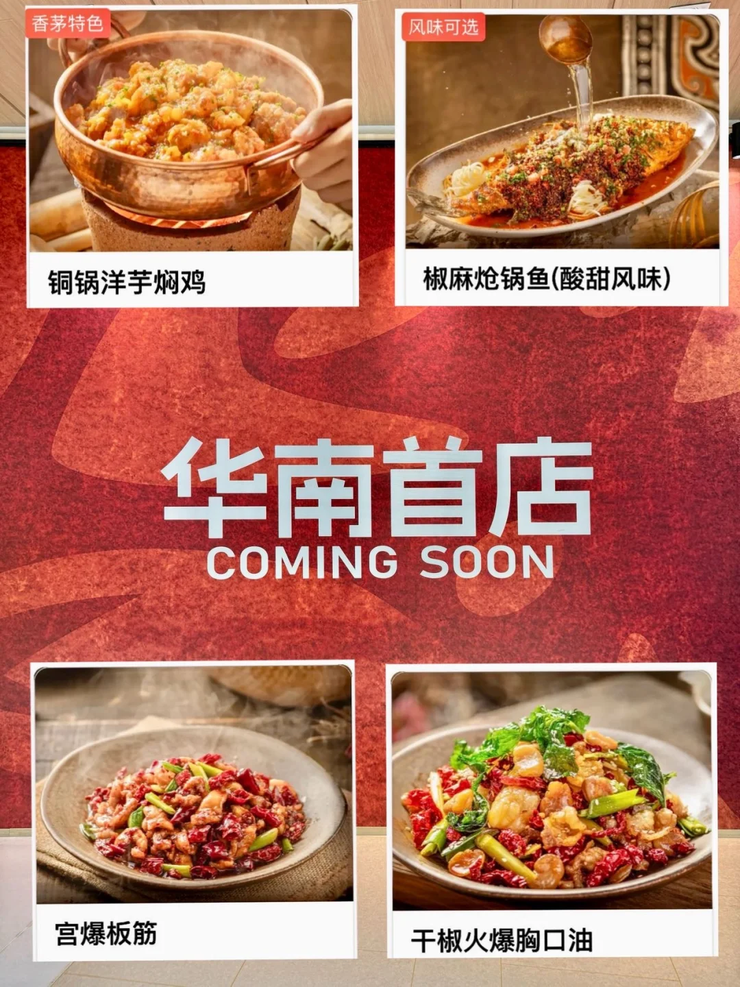 哇塞！罗湖金光华也有野杜鹃啦！