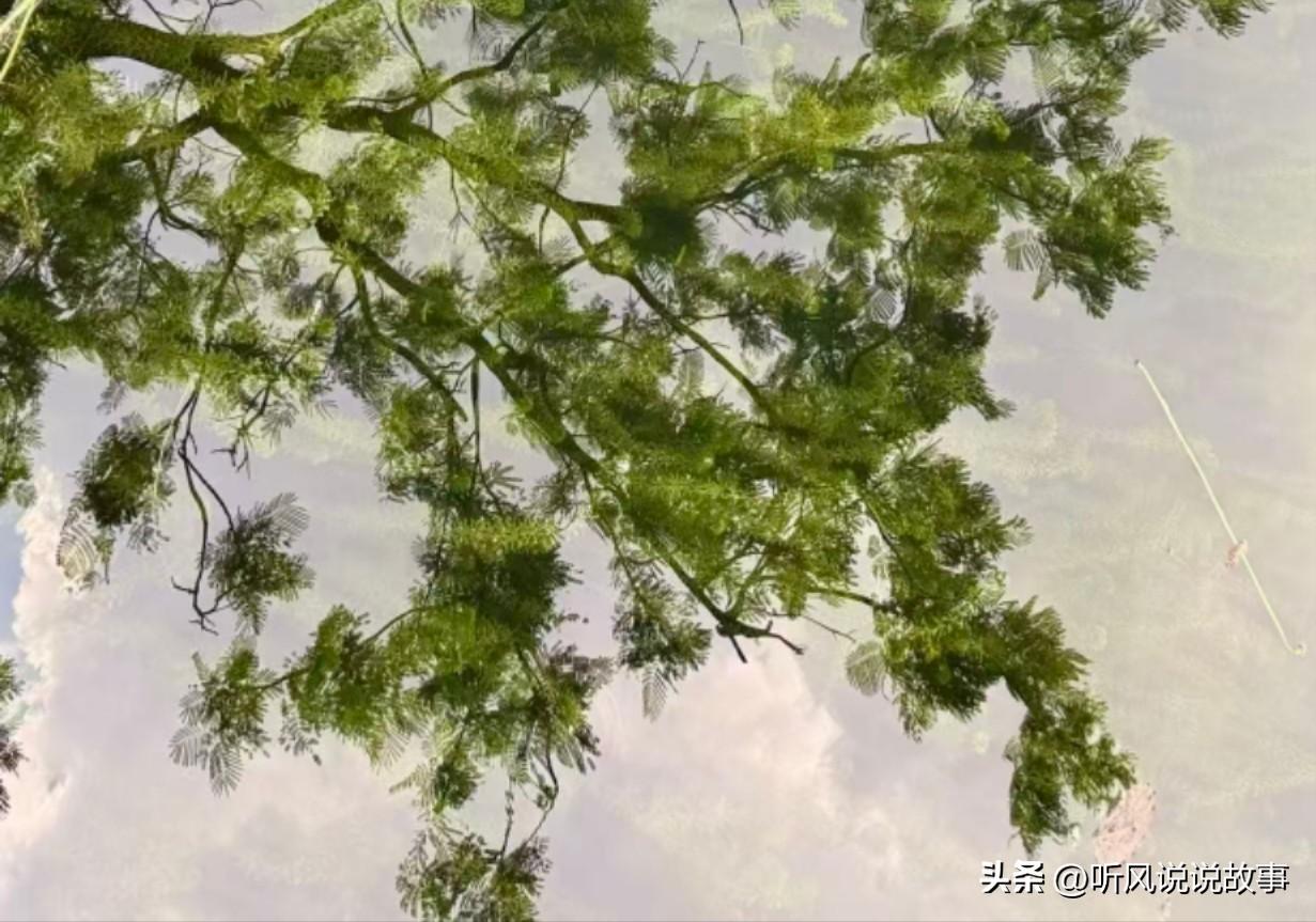 [锦鲤到来]衣服回收有猫腻

有些广告以前打得很响，为慈善机构捐献点钱，捐献点衣