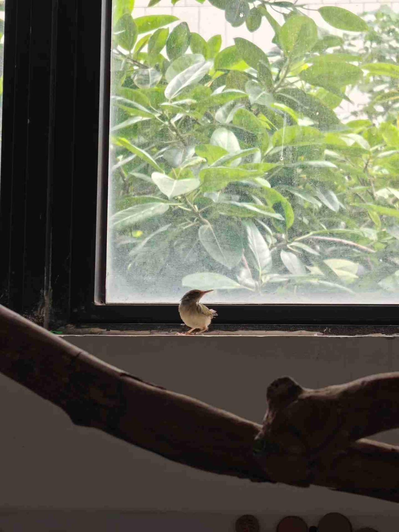 ֊'
我的今日状态：💰期待暴富
我这里的天气：🌤️多云