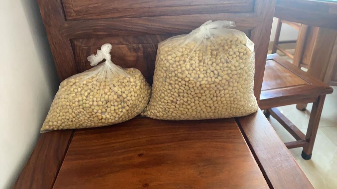 种瓜得瓜 种豆得豆！我起码半年都不用买豆了吧！

我妈家就是种的豆多，上段时间就