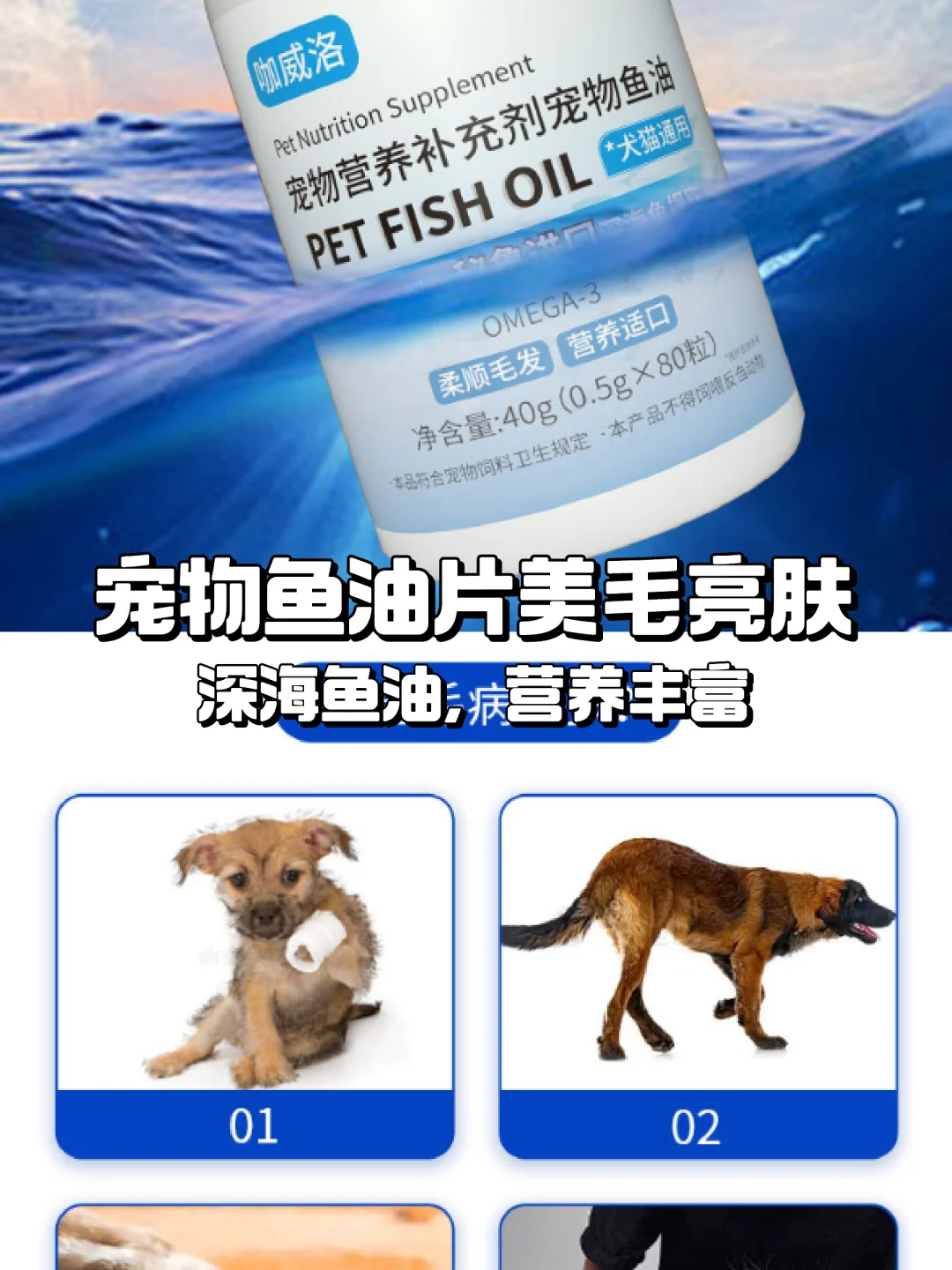 猫咪美毛必备🐟鱼油片