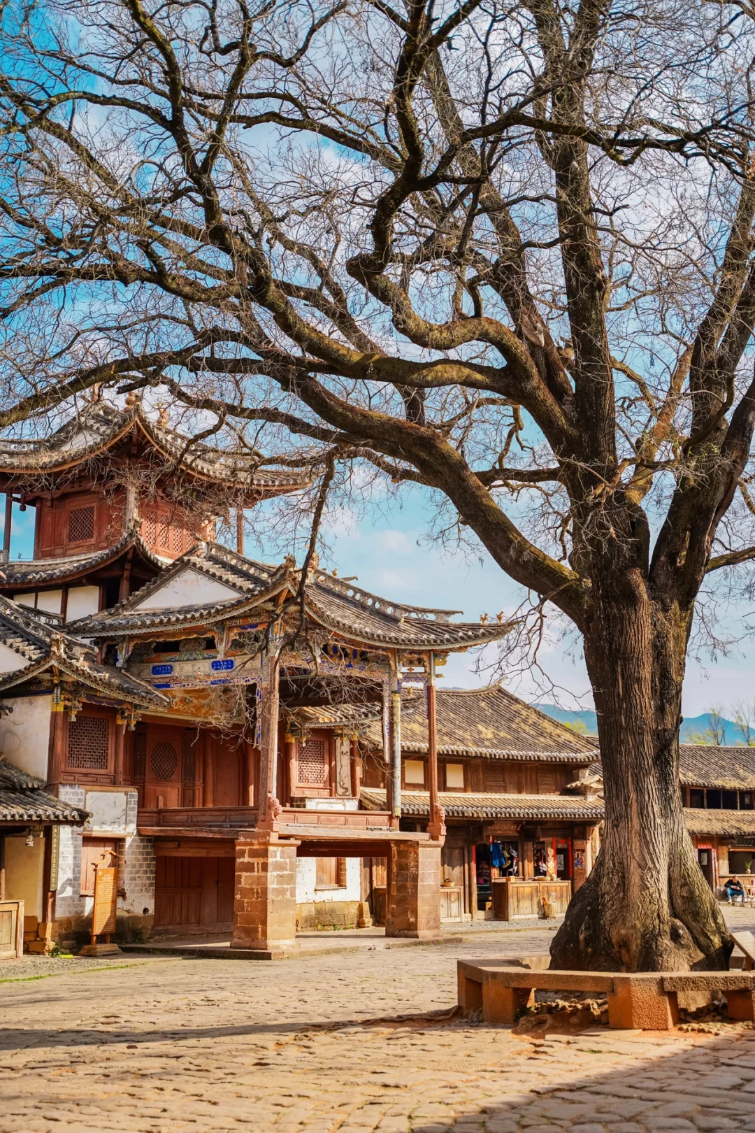 低调的烟火人间沙溪到了绝美的季节了