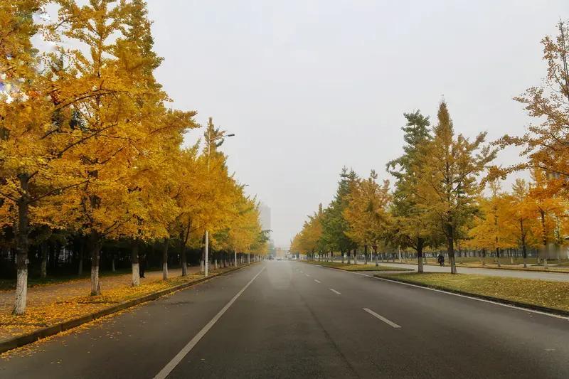 六安的美，就像一首悠扬的诗，一幅绚丽的画。初冬的六安，宛如低调画家，用清冷空气晕