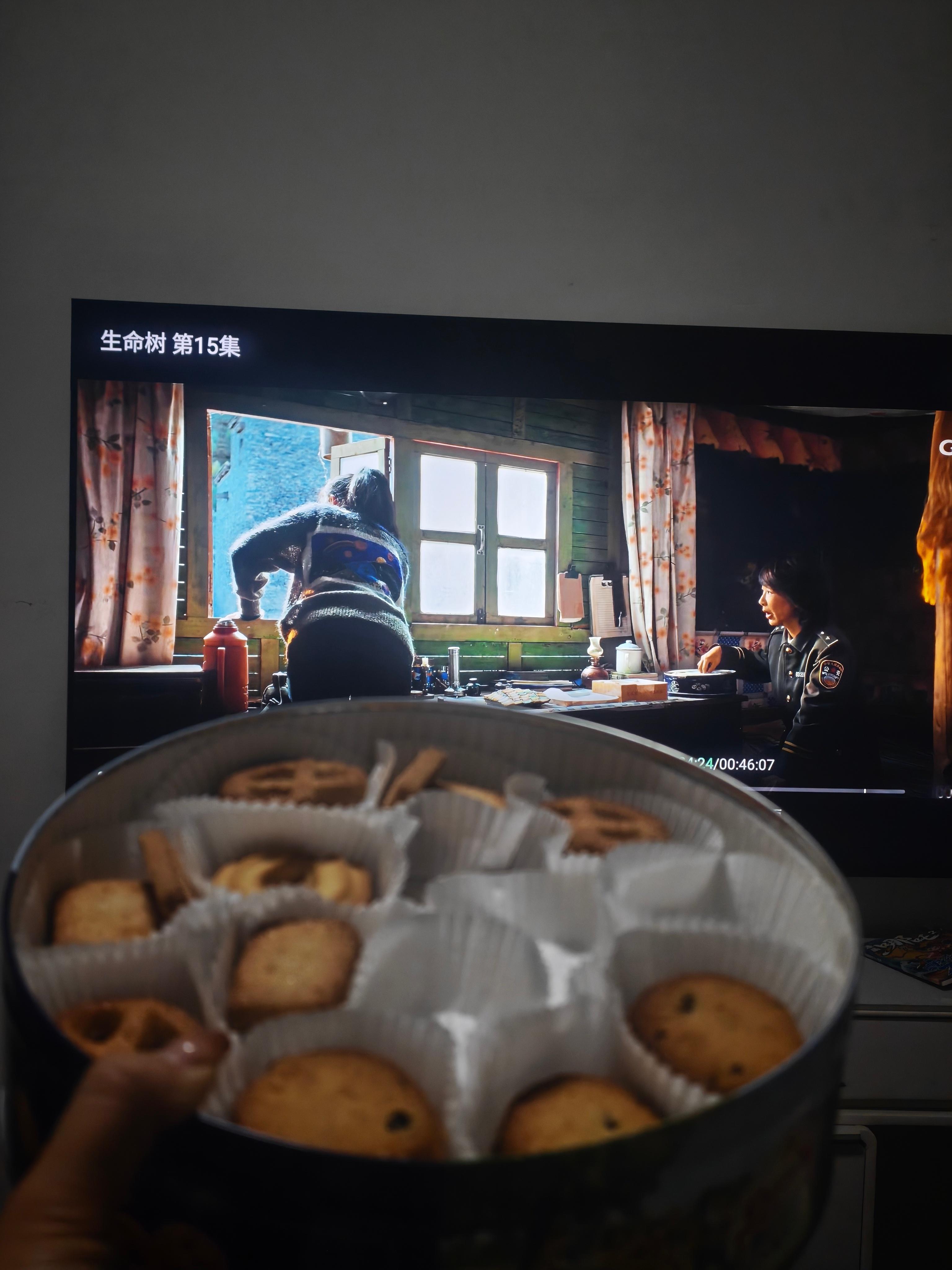 生命树春天来了椿天也来了 蓝罐曲奇饼太经典了，本广东人证明，这已经是送礼的最高礼