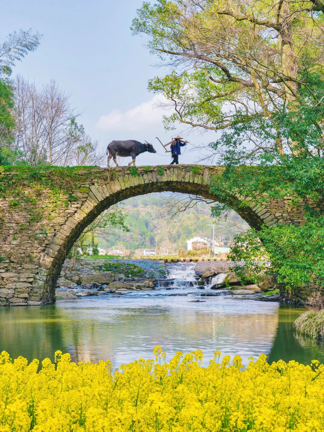 迄今为止，江西我最爱的❸条赏春路线出现了‼️