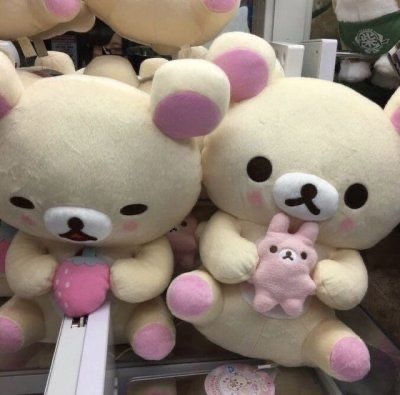 拜见轻松熊大人՞⦁㉨⦁՞ ​​​