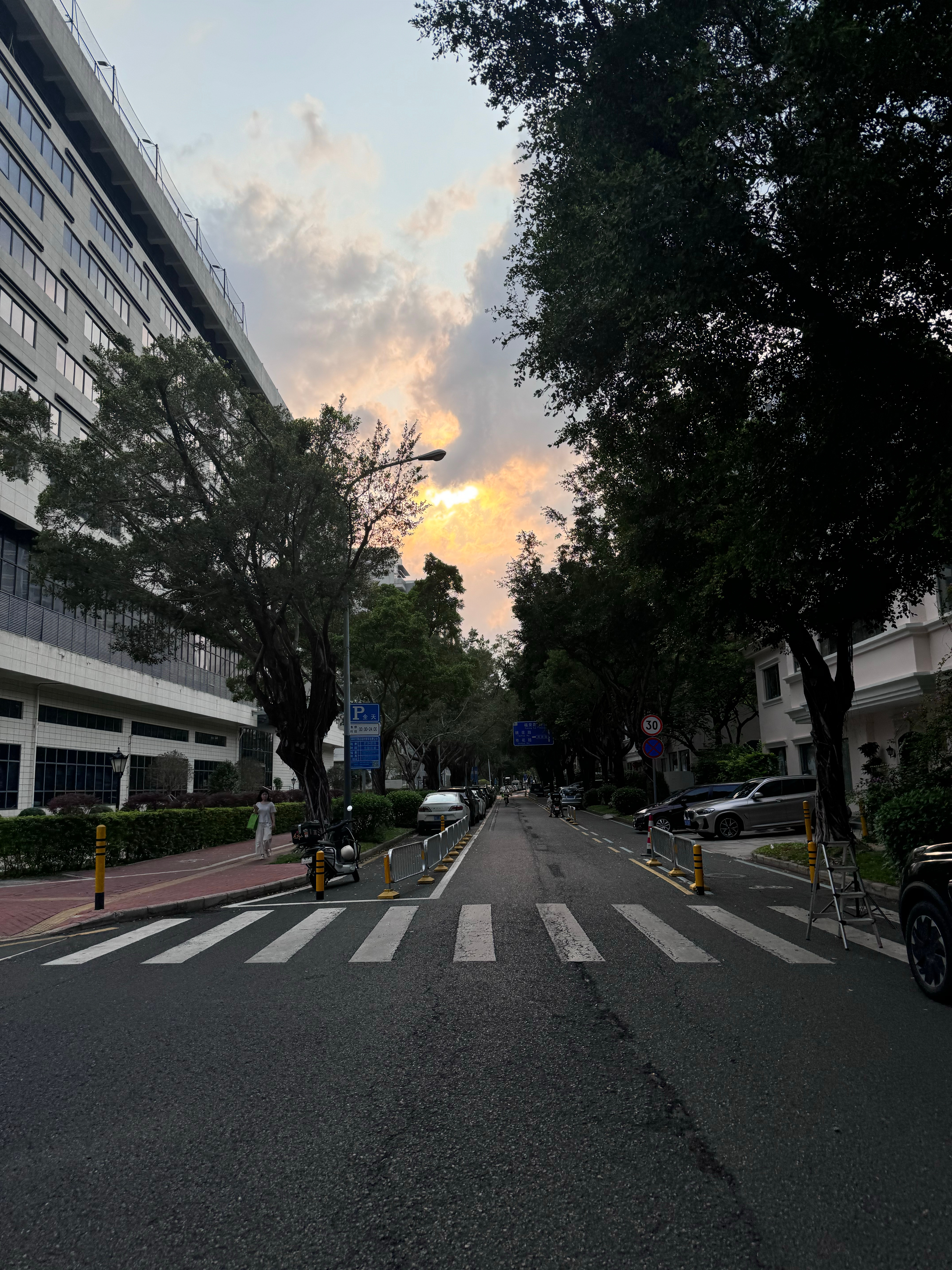 日常 周末好天气真的适合踩单车林荫大道踩单车很舒适。歪瑞nice👍 