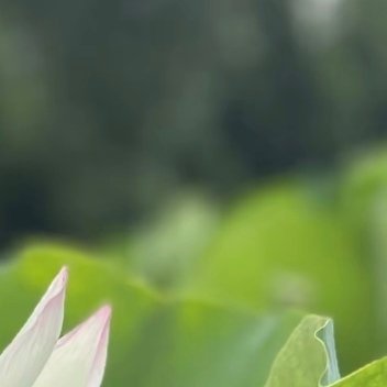 阳光信用 给自己一个微笑，让心情豁然开朗，不为昨天而懊恼，不为明天而迷茫，快乐而