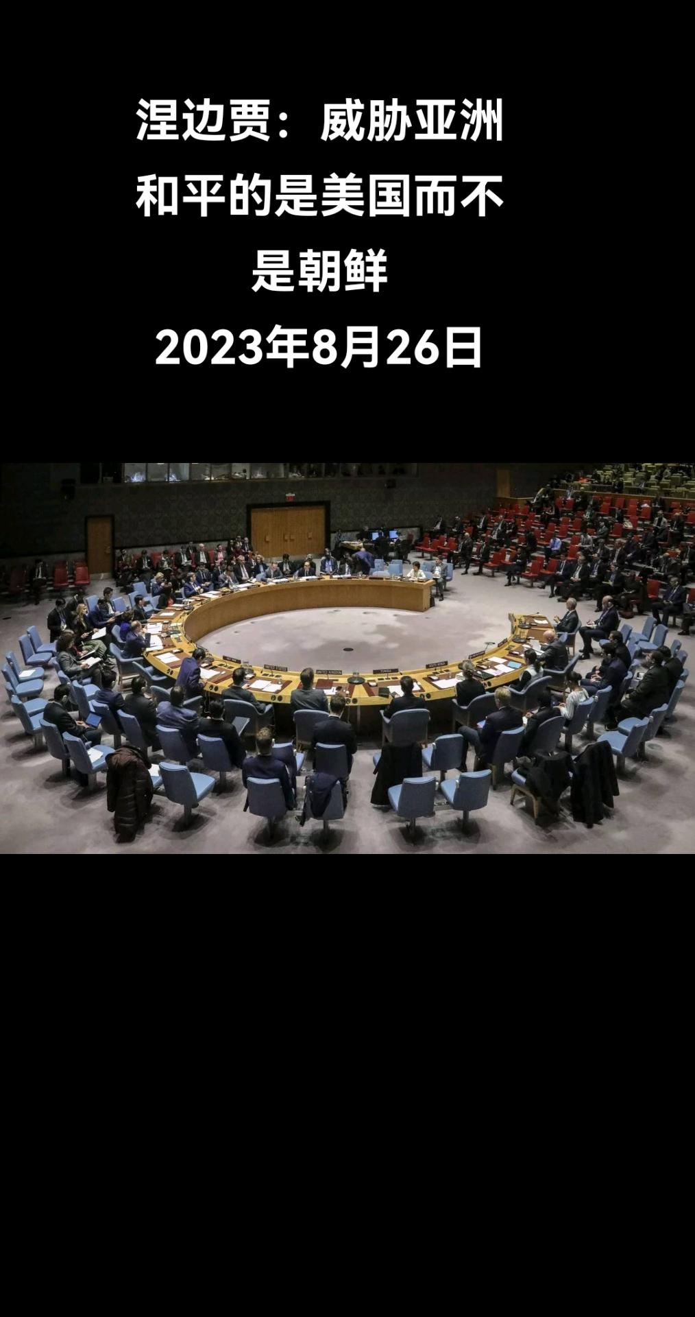 俄罗斯卫星通讯社联合国8月26日电 俄罗斯常驻联合国代表瓦西里·涅边贾说，美国自