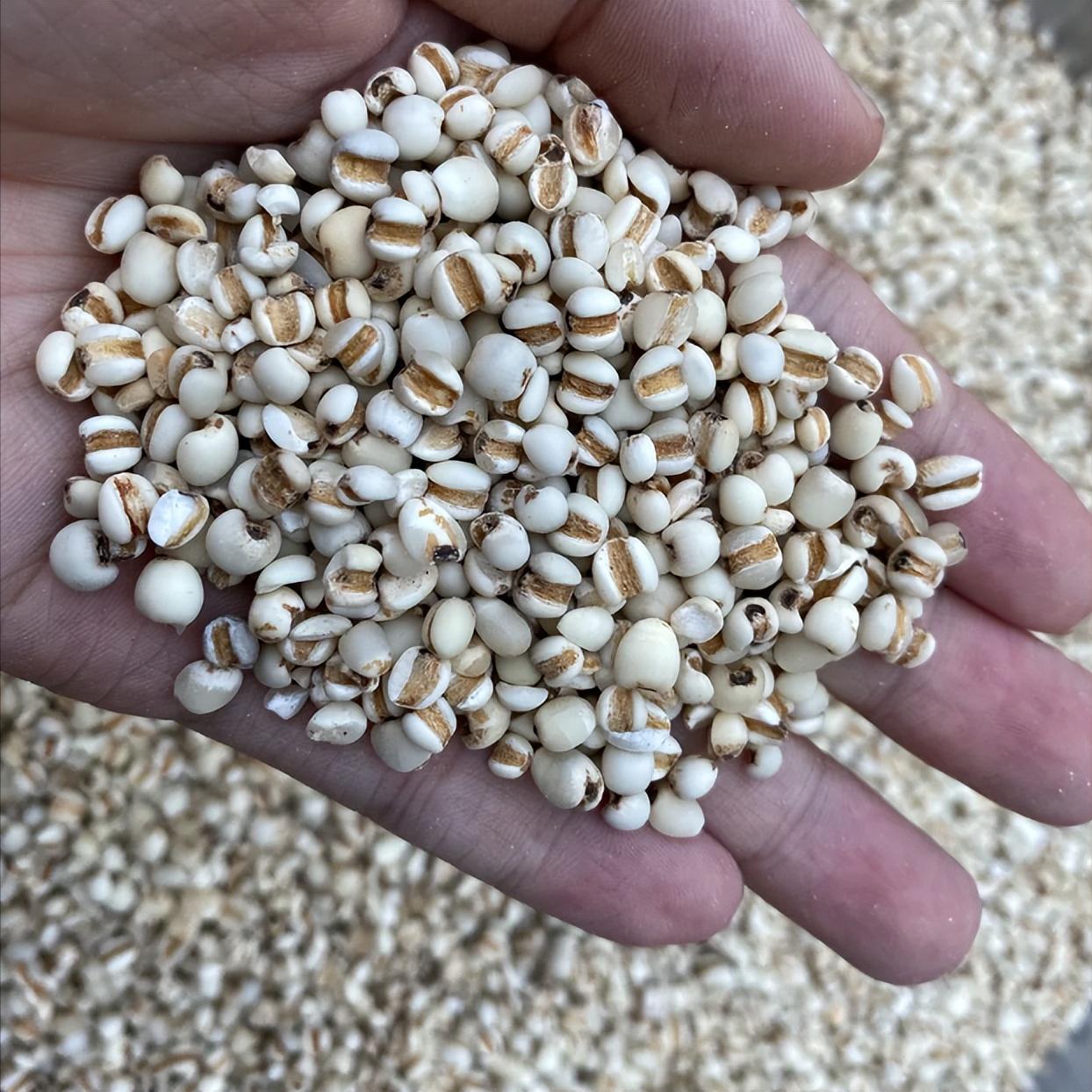 一张阳痿早泄实用经验方，患者说见效快！由衷感叹：中医不猛补，辨证精准，胜过盲目用