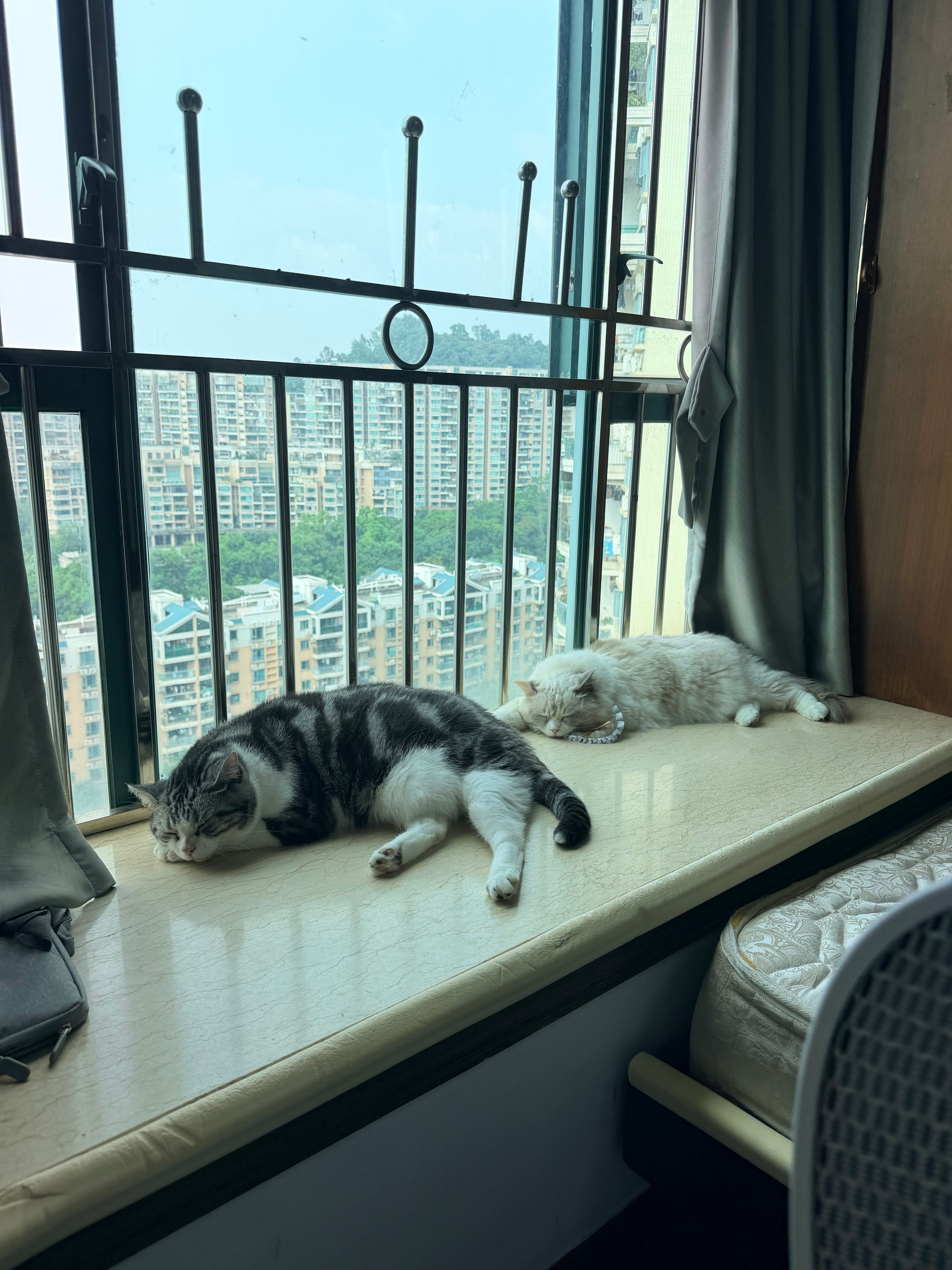 燃尽 ​​​