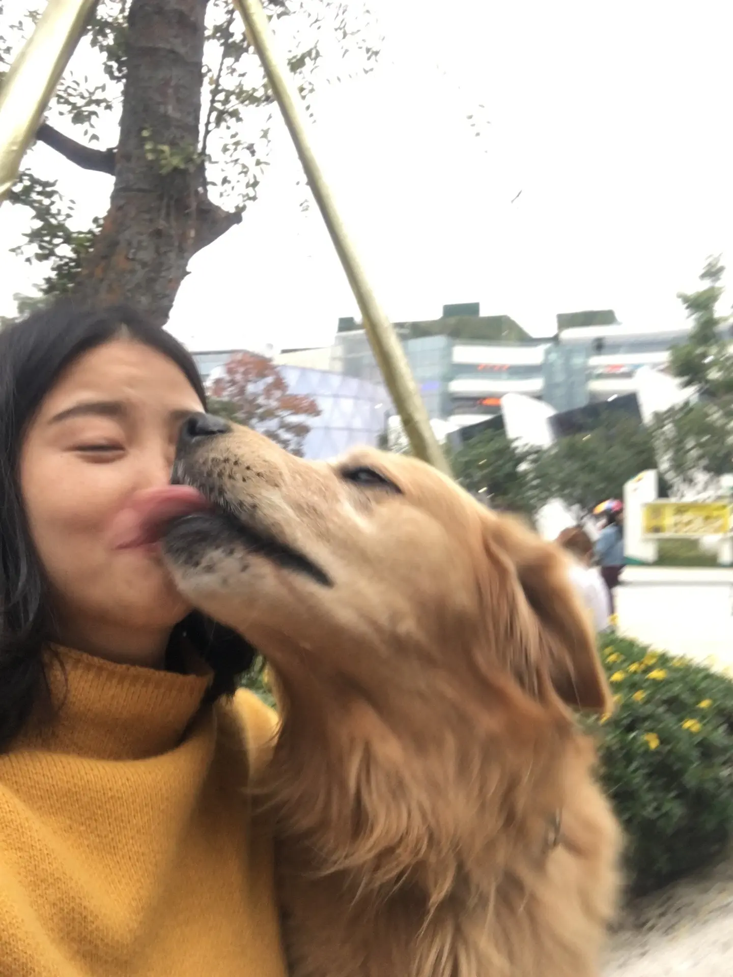 随然过去很多年了，但是还是很想我的大儿杨小皮。为他努力买了第一辆rav...