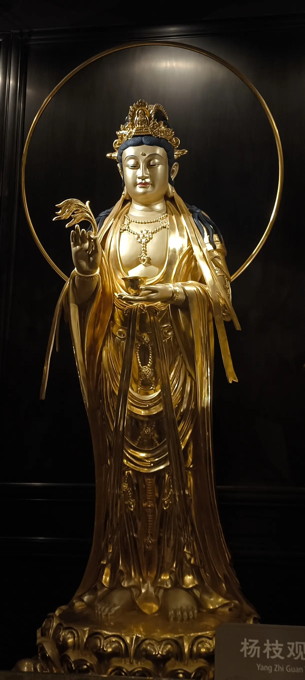 金容照世，杨枝洒福！