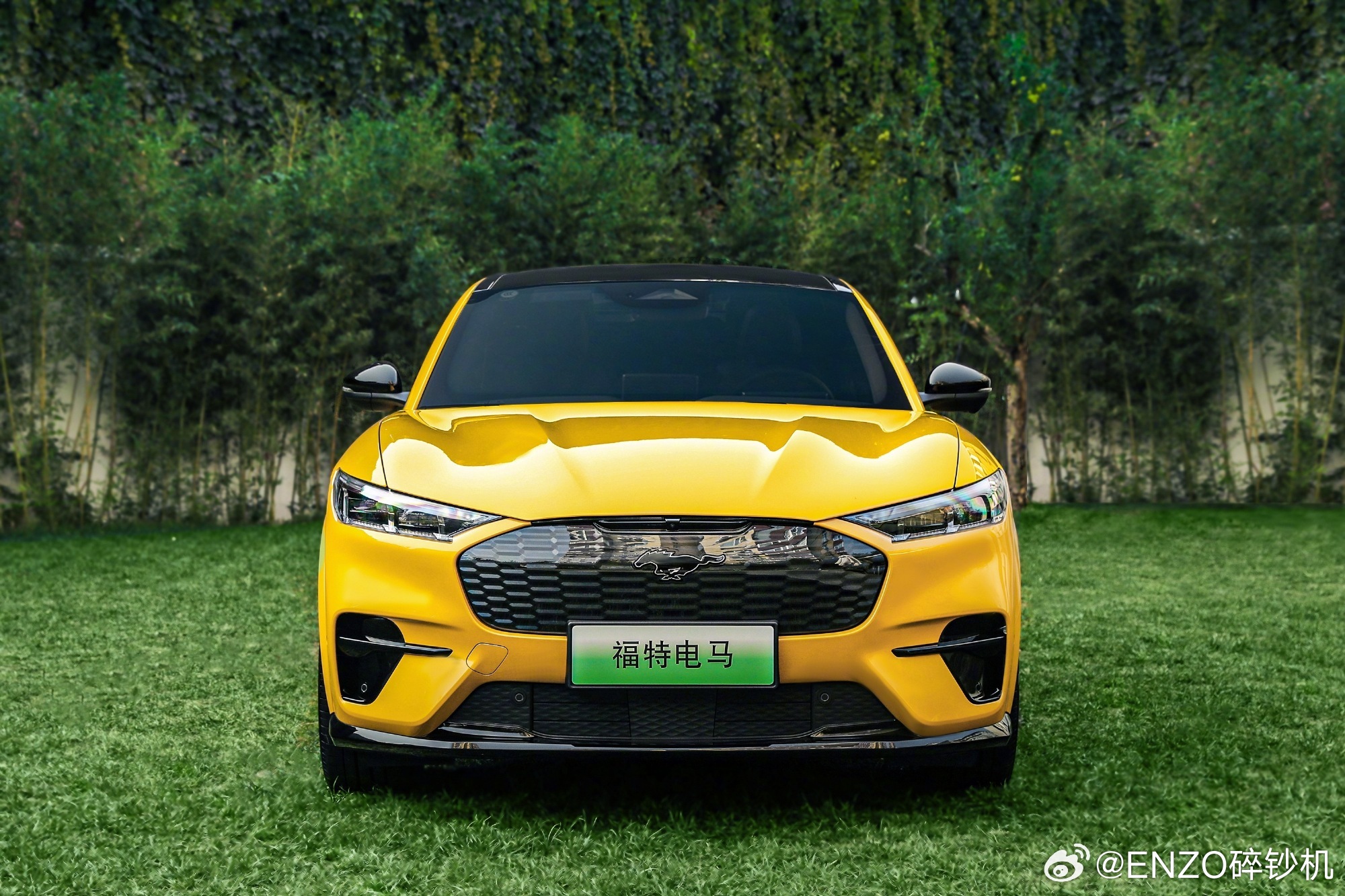 #大v聊车##enzo碎钞机# 【全新福特电马上市——Mustang EV更香了