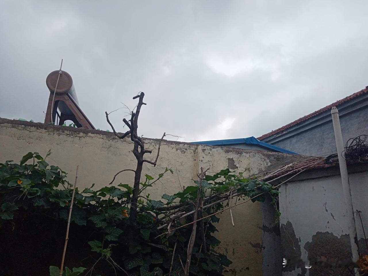 台风暴雨有没有，五月就看二十九
雨落五月二十九，六月雨水天天流
五月二十九雨连绵