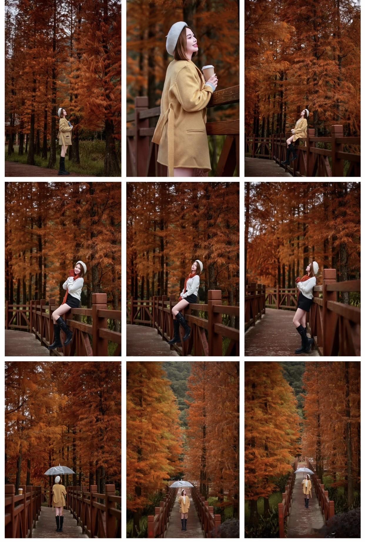 分享漂亮的风景照在红叶林中，她拍照好有秋日氛围。