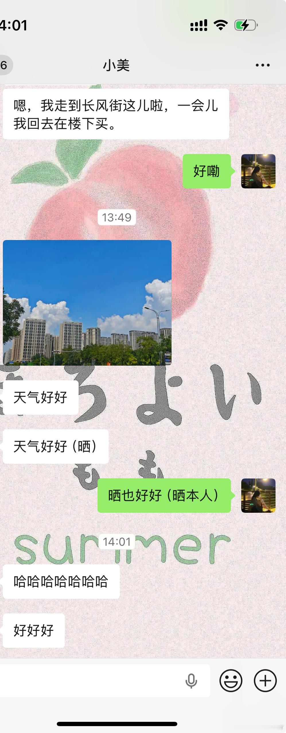 早上睡醒和小美一起去菜市场买了菜和肉，中午回来吃了火锅，吃饭的时候小美说：“咱俩