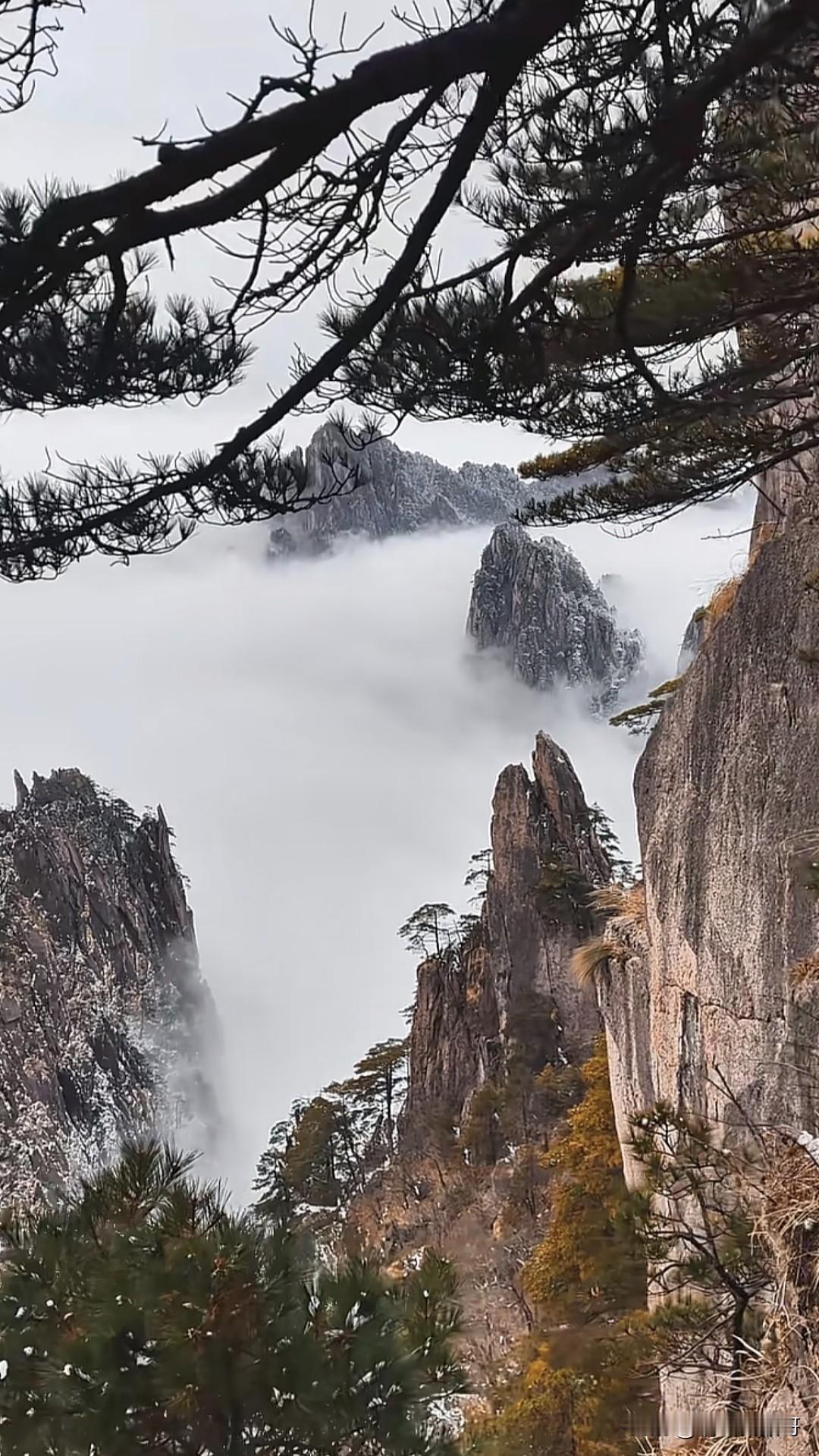 也来晒一张你登山的照片吧！