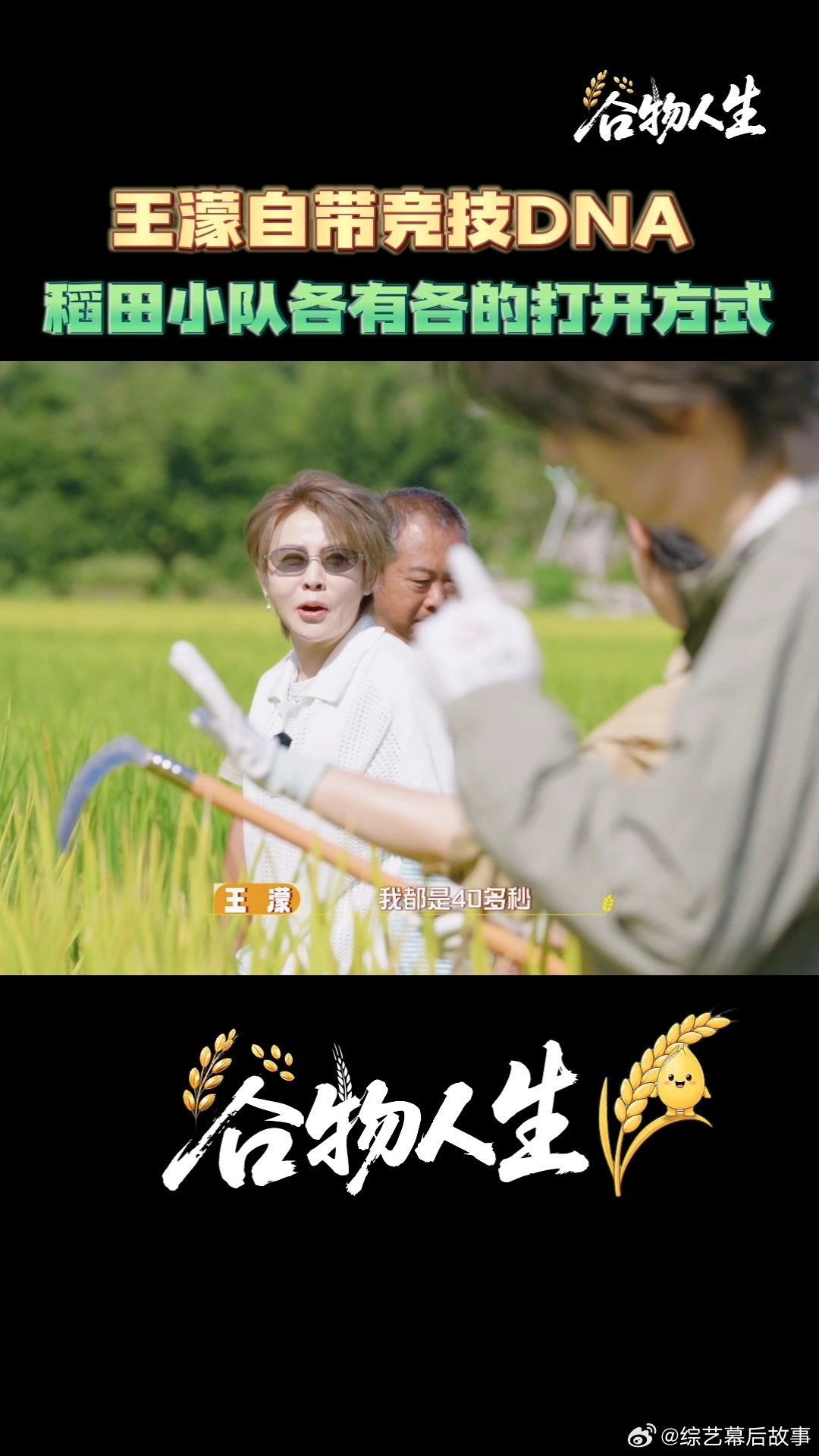 王濛从来没有打过40多秒以上的比赛王濛说自己是爆发型选手谷物人生谁能想到速滑大神