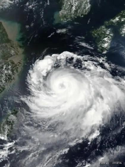 台风"白海豚"刷屏了，我却在想另一件事
上海的朋友注意安全啊，这"白海豚"可不是