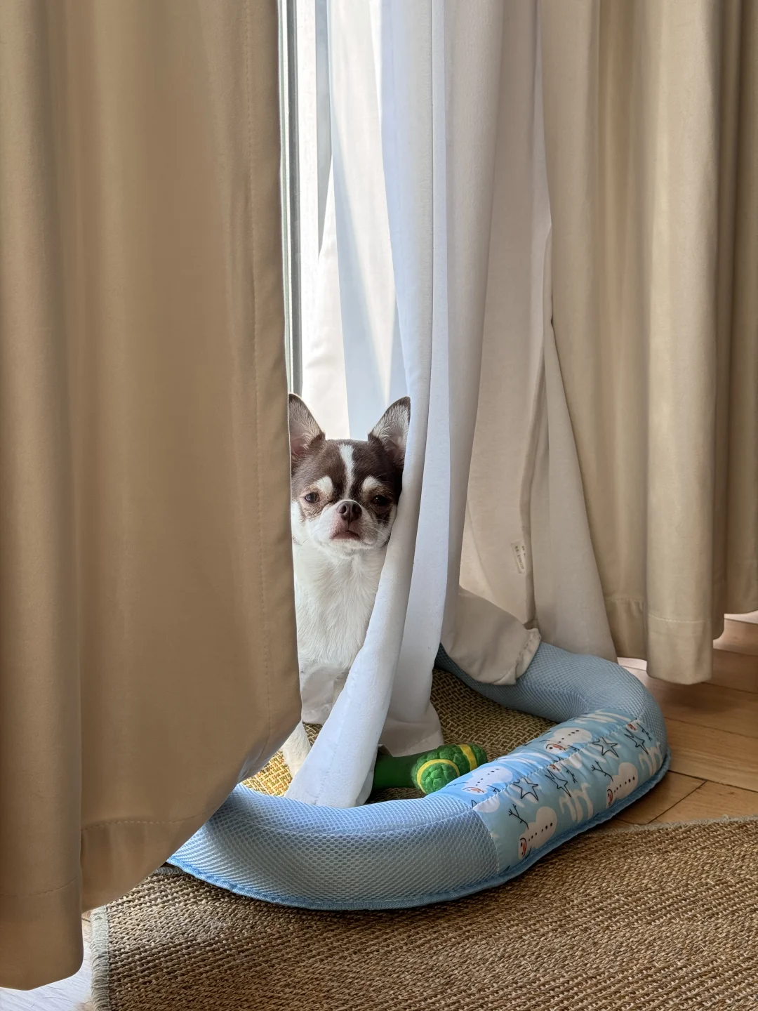 中午好呀小宝贝｜今天又是帅气的一天