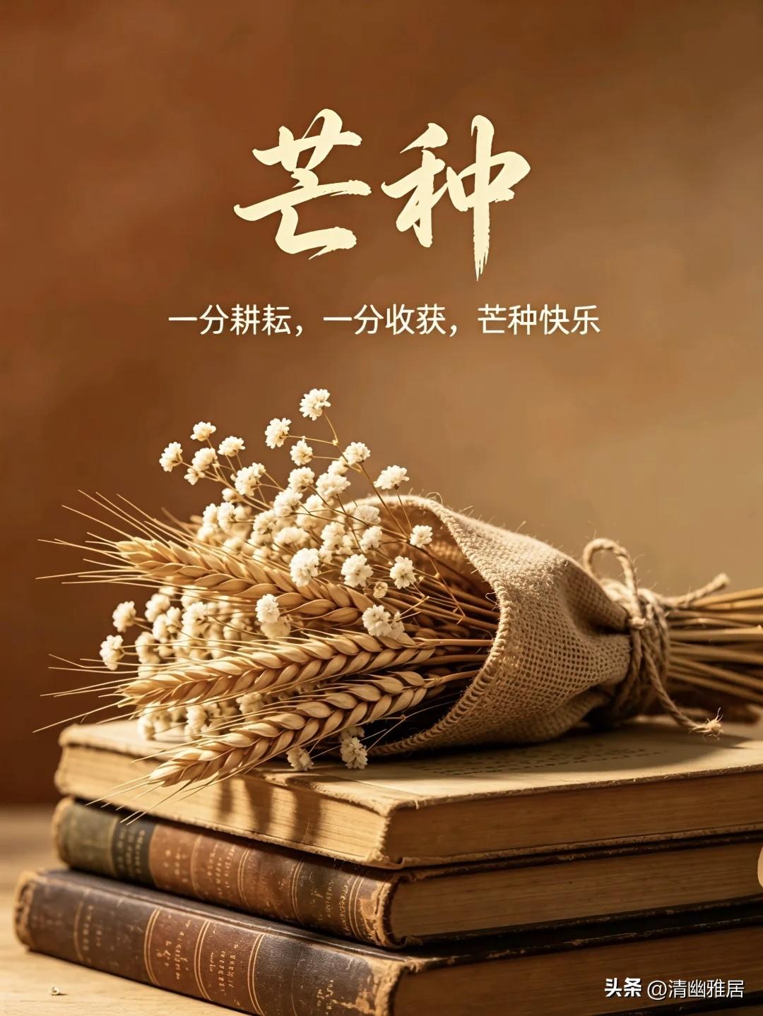 种有所得。手中有活，心里有光。每一分耕耘，都落进好日子的粮仓。