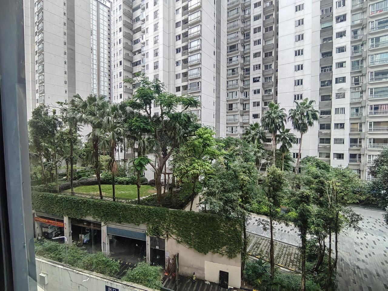 高楼林立间，绿意盎然的小区，静谧而美好。