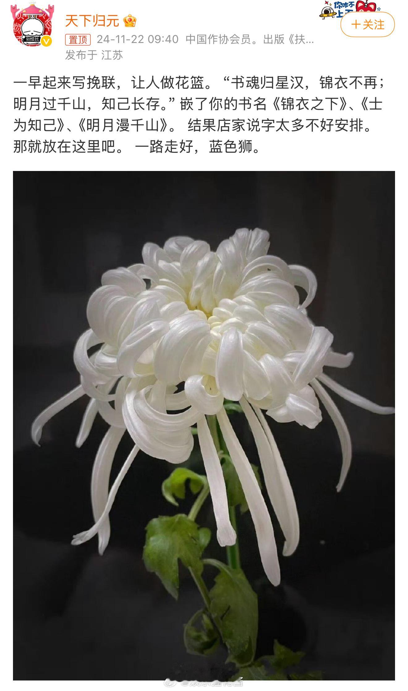 作家蓝色狮去世  RIP💔 