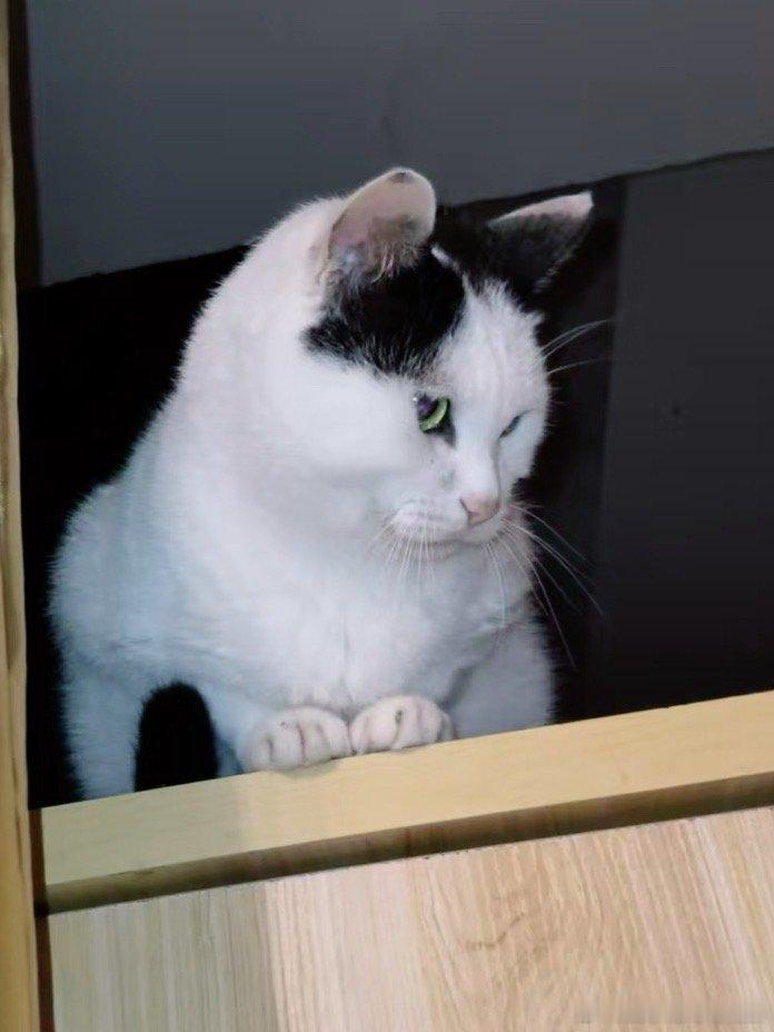 年底就13岁了呢