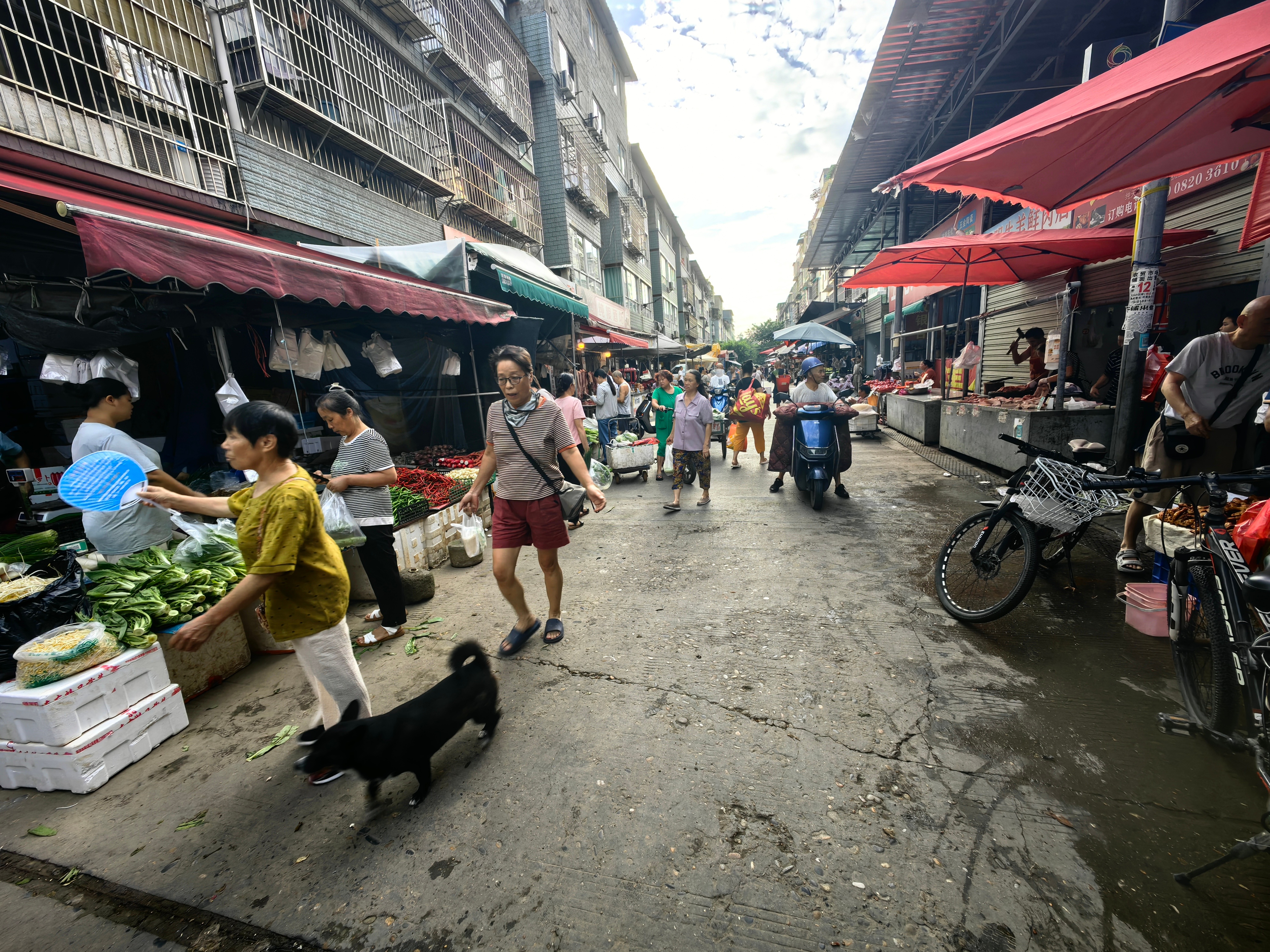 今天又是高温天气，24°C-36°C，做好早餐，趁天气凉快，背起宣汉花儿去文星镇