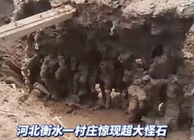 “太邪乎了！”河北衡水，6月12日傍晚一场强雷雨刚过，一村民就发现自家麦田里凭空
