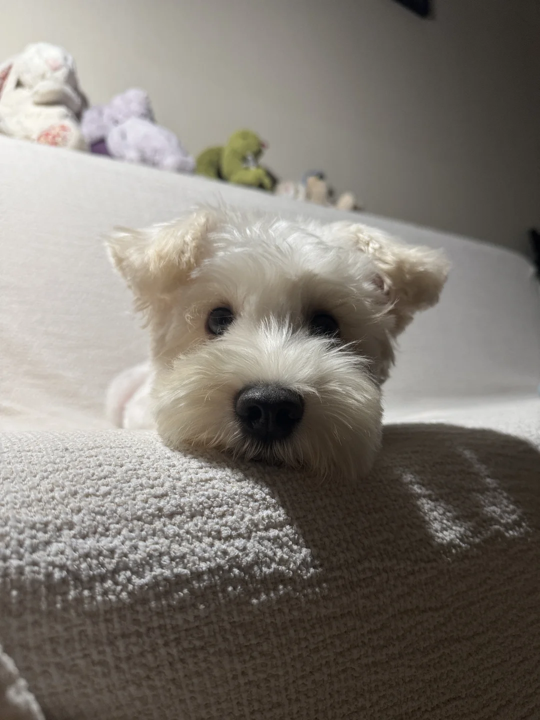 事情是这样的…